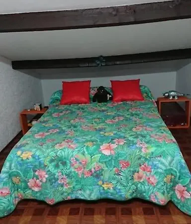 Apartment T2 44m2 - Chez Maya Agde